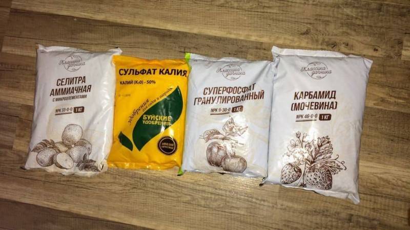 Перец болгарский выращивание и уход в открытом грунте и теплице, фото