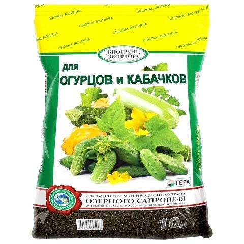 Выращивание огурцов на балконе