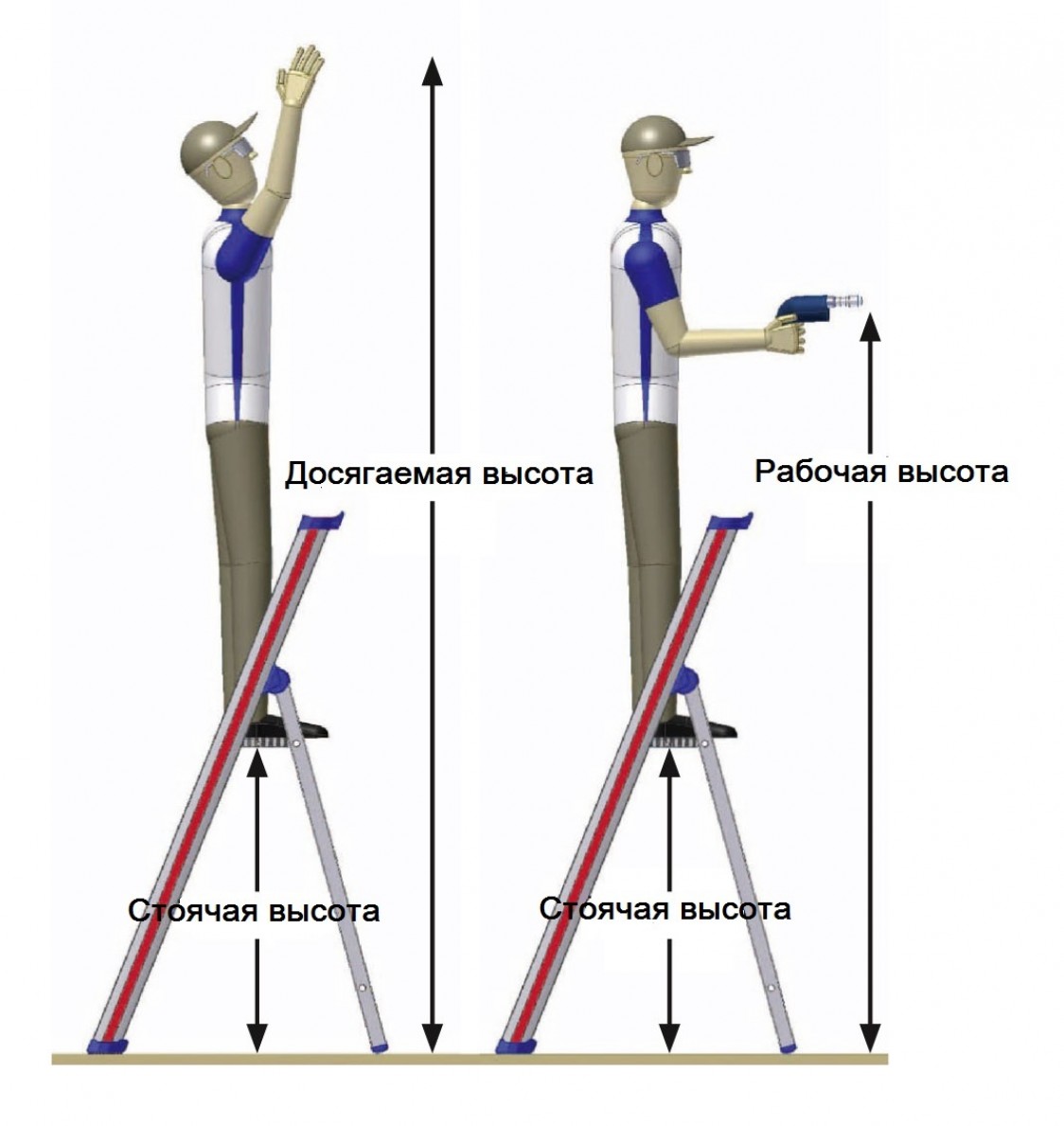 Высота стремянки. Рабочая высота стремянки что это такое. Рабочая высота лестницы что это. Рабочий на высоте. Телескопическая лестница высота.