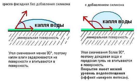 Водостойкая краска - технология окрашивания