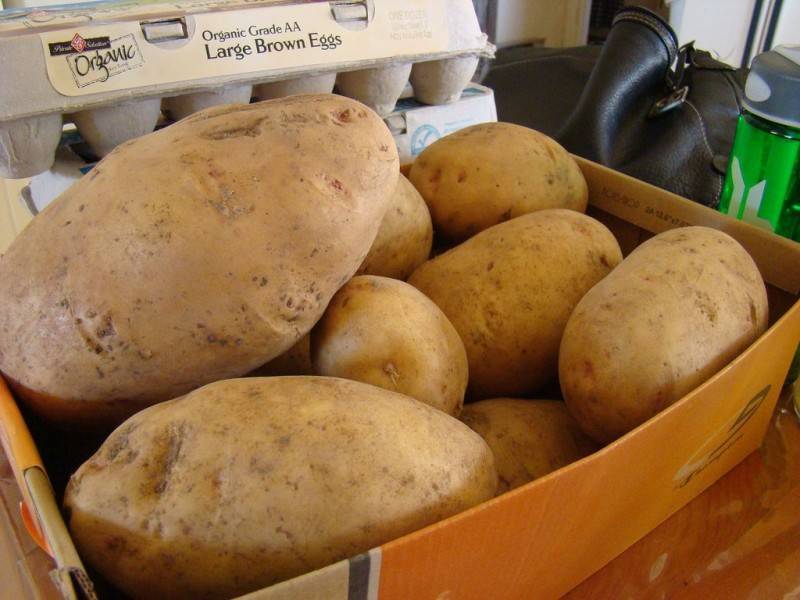 Где и как хранить картошку в квартире, чтобы клубни не портились и сохраняли питательную ценность